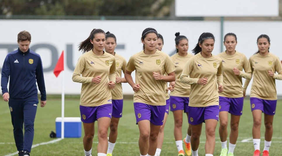 SLNA và Công an TP.HCM tại V.League 2026/27: Hệ thống tập thể đối đầu sức mạnh ngôi sao