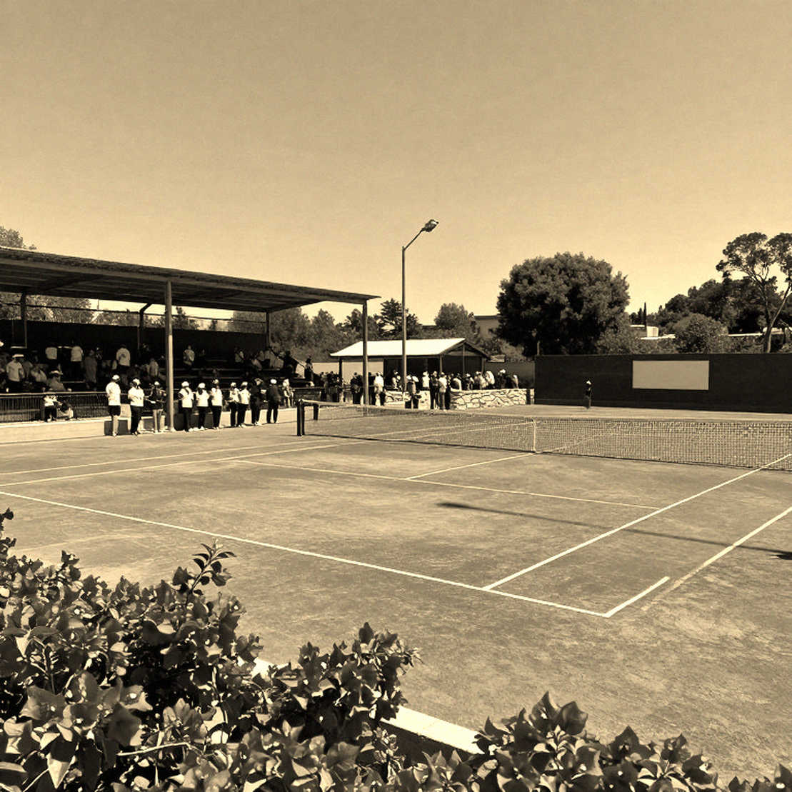 Boulter hạ Golubic 6-2, 6-1 tại Japan Open: chín game liên tiếp và cuộc đua vị trí số 1 nước Anh