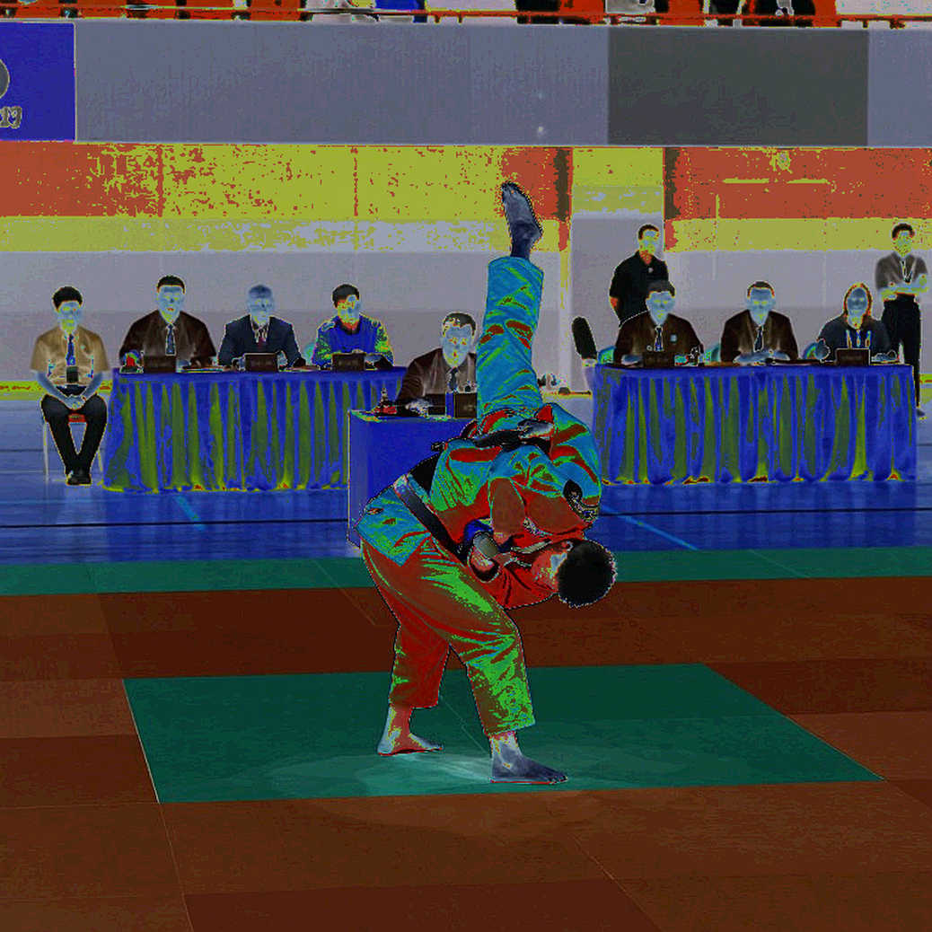 Taekwondo at the 2026 Asian Games: Three Days, Three Rulesets, and Vietnam's Medal Equation Taekwondo at the 2026 Asian Games: Three Days, Three Rulesets, and Vietnam's Medal Equation