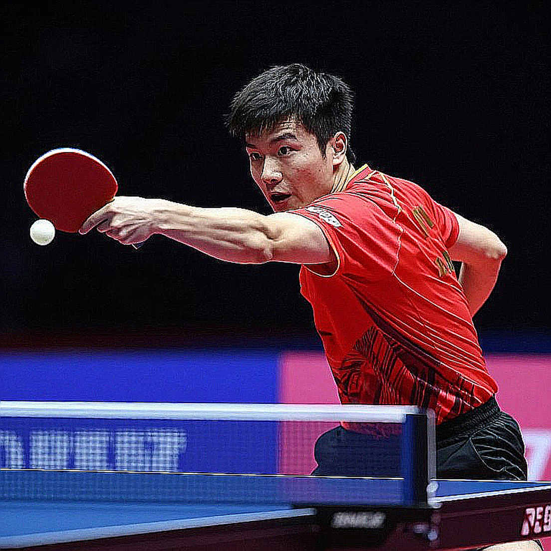 An Se-young bảo vệ HCV Asian Games 2026: 56 thắng - 1 thua, 10 ván không mất và những kỷ lục còn chờ kiểm chứng